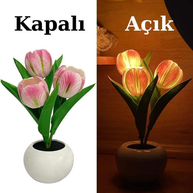 Bir başlık ekleyin.png__PID:1504fd0f-299f-42de-9323-09060e44eb09