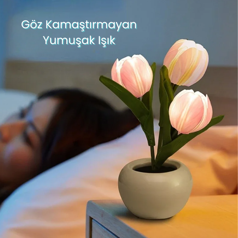 Bir başlık ekleyin (1).png__PID:4b1504fd-0f29-4f82-9e93-2309060e44eb